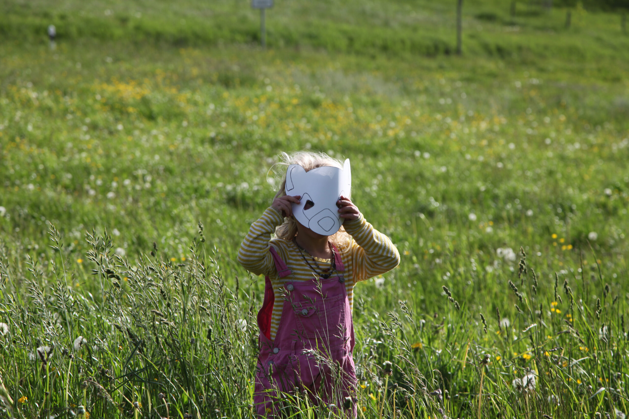 2021_Wieselburgen 6 2021_Wieselburgen 6