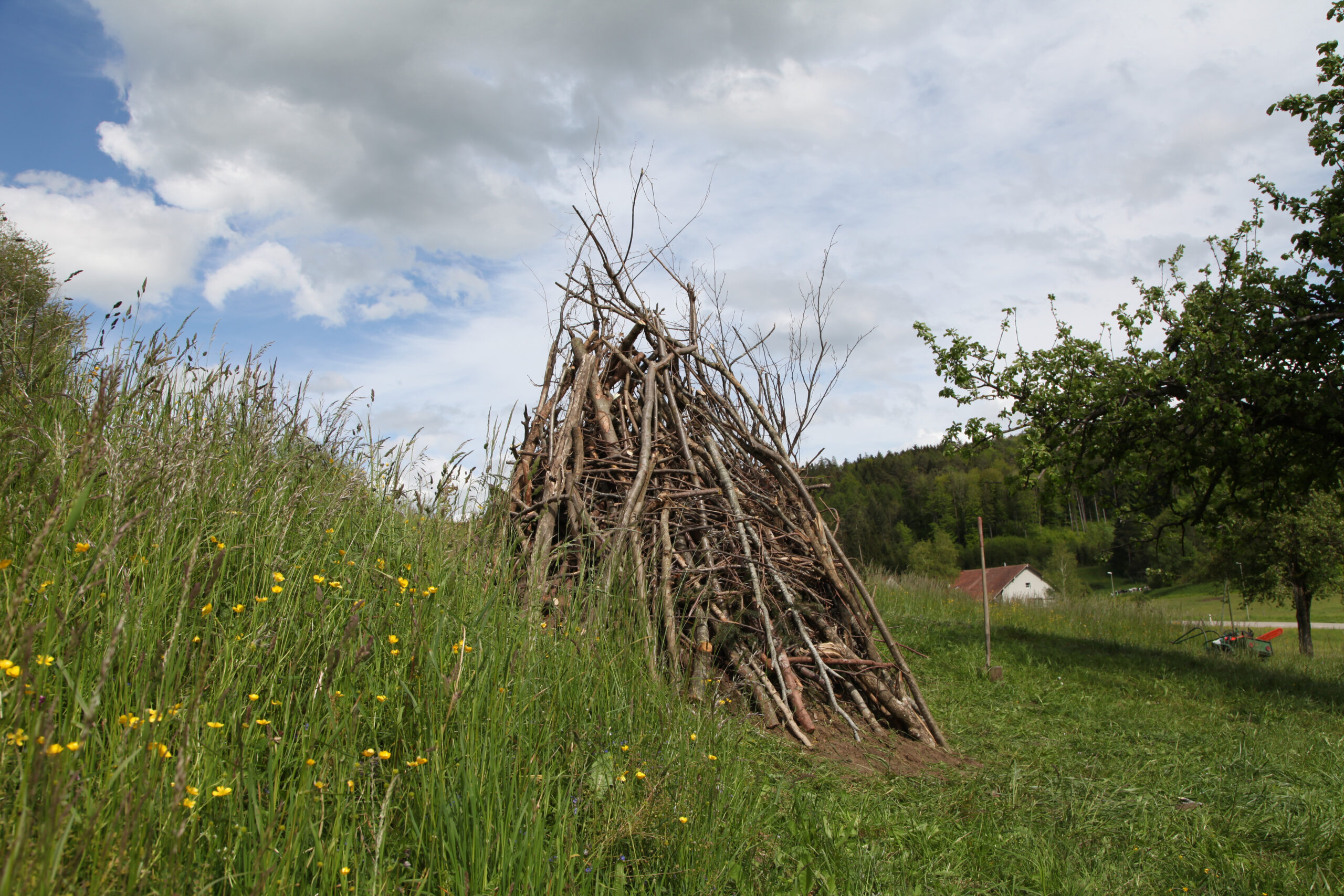 2021_Wieselburgen 7 2021_Wieselburgen 7
