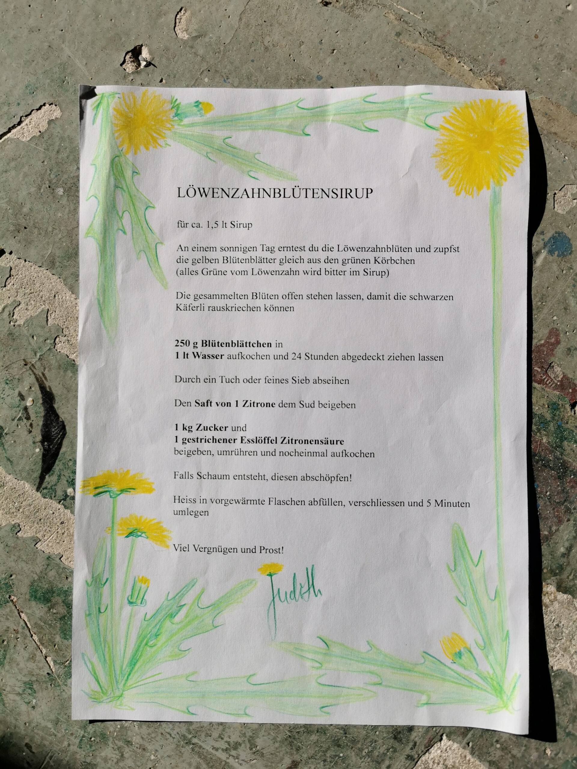 2023_Löwenzahntag 4 2023_Löwenzahntag 4