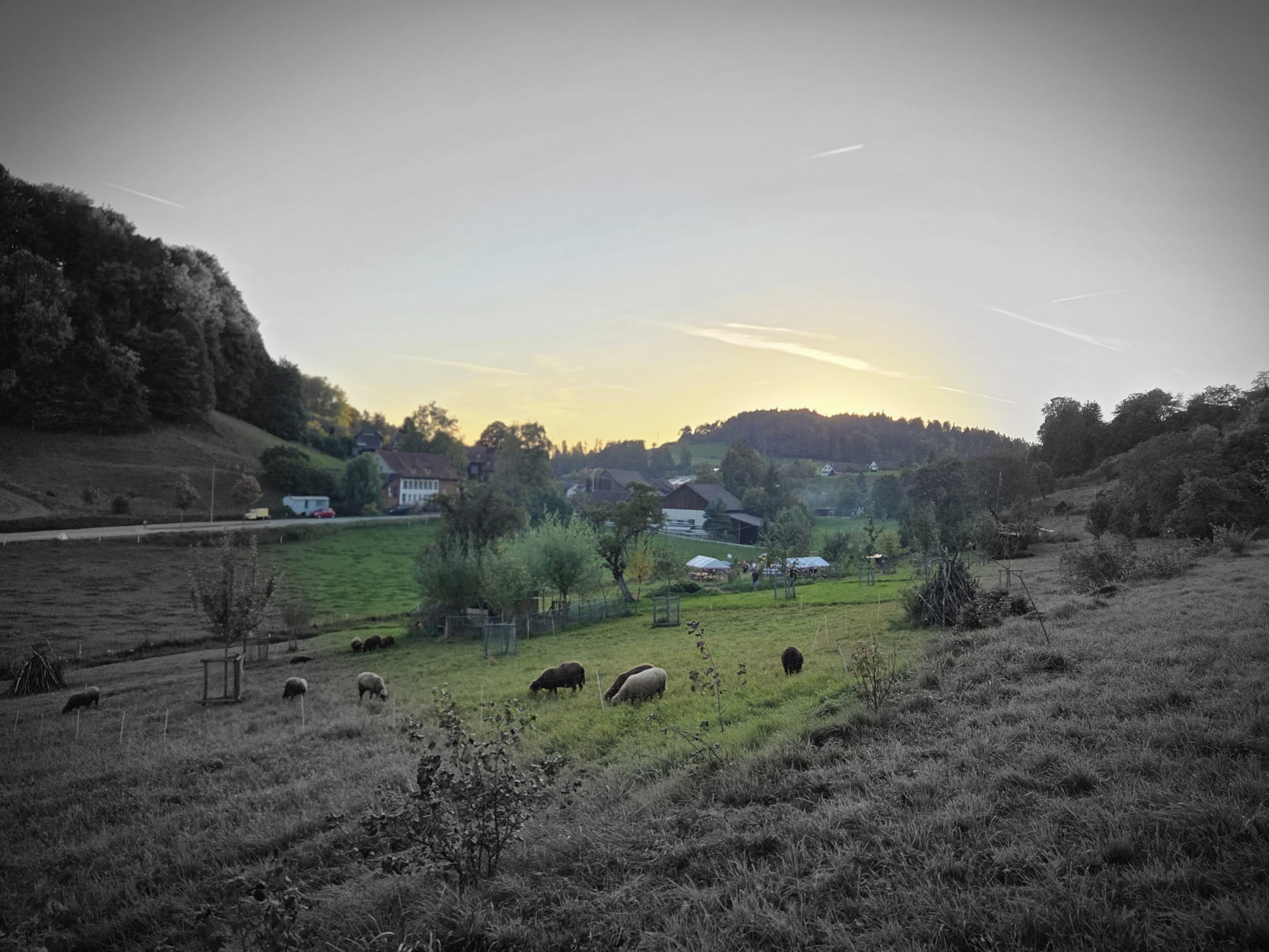 IMG-20251022-WA0007