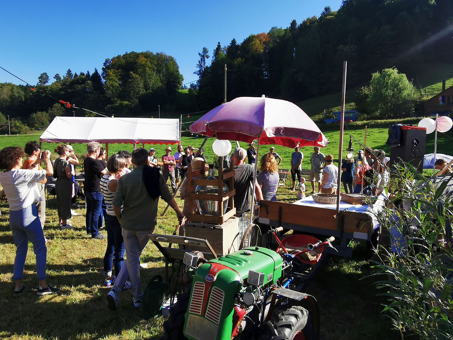 Newsletter_Titelbild_AliceCantaluppi Newsletter_Titelbild_AliceCantaluppi